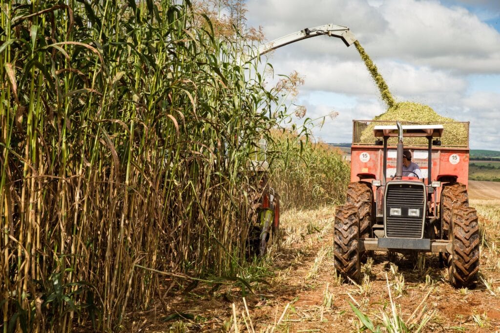 Agro paulista tem superávit de US$ 5,67 bi no quadrimestre - Money Report