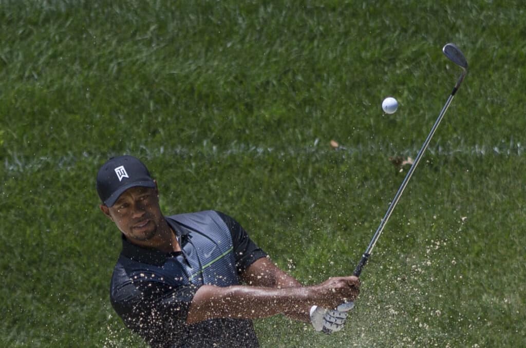 CC BY-SA 2.0 Arquivo: Tiger Woods 2014.jpg Criado: 24 de junho de 2014 Enviado: 25 de junho de 2014