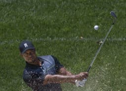 CC BY-SA 2.0 Arquivo: Tiger Woods 2014.jpg Criado: 24 de junho de 2014 Enviado: 25 de junho de 2014