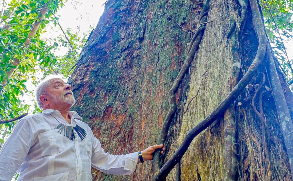 Lula sanciona lei do licenciamento ambiental com 63 vetos - Money Report