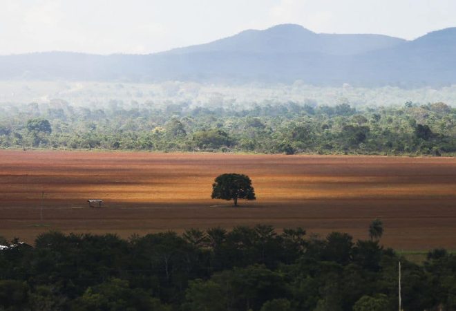 Alto Paraíso (GO) -  Área de cerrado desmatada para plantio no município de Alto Paraíso (Marcelo Camargo/Agência Brasil)