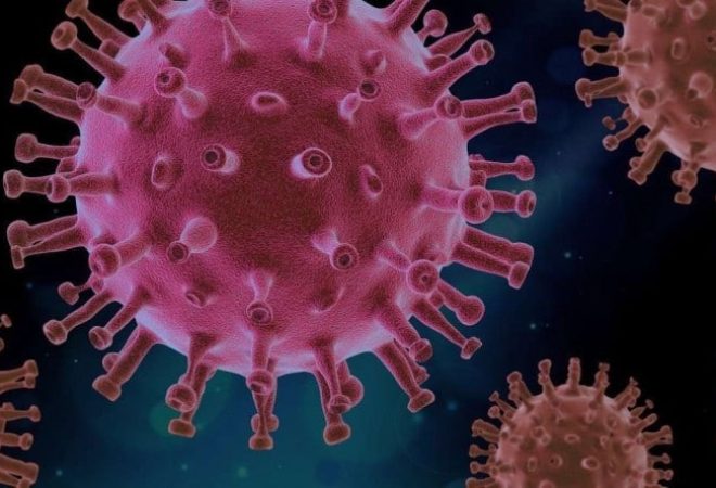 virus covid