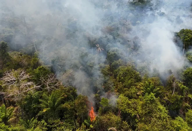 2024-03-01t131838z_944586073_rc20d6aq22m1_rtrmadp_3_brazil-fires