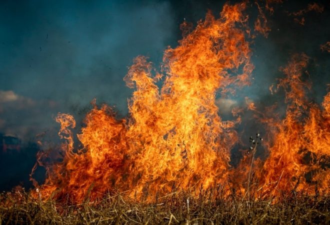 20240930115444_incendios