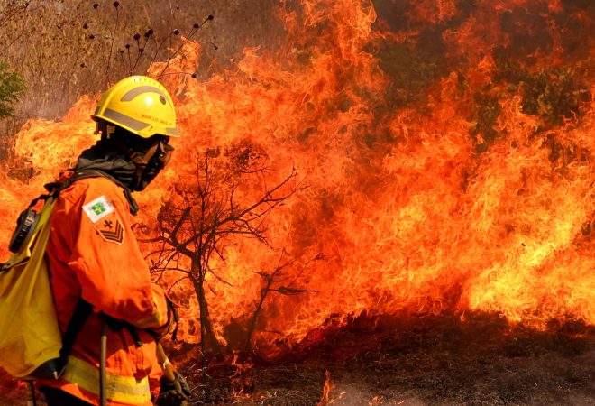 Brasília, DF 15-09-2024 Um Incendio atingiu o Parque Nacional de Brasília. Bombeiros e populares tentavam conter as chamas Foto: Fabio Rodrigues-Pozzebom