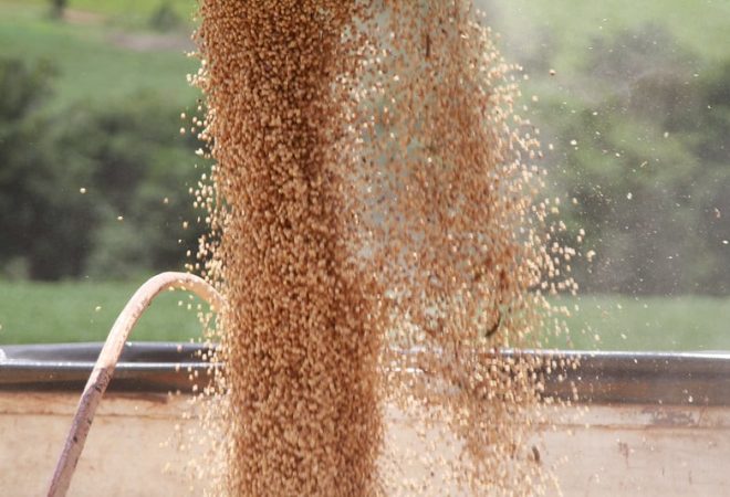 soja agro