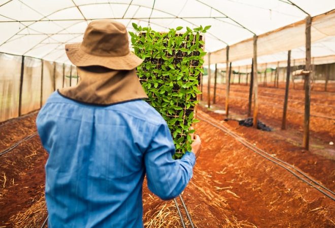 agricultura