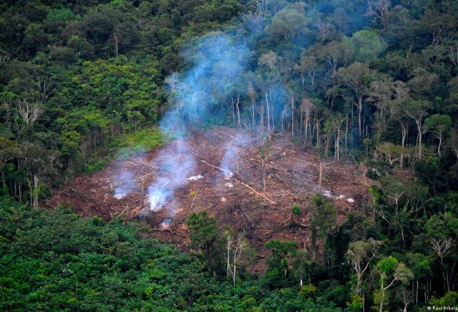desmatamento amazonia