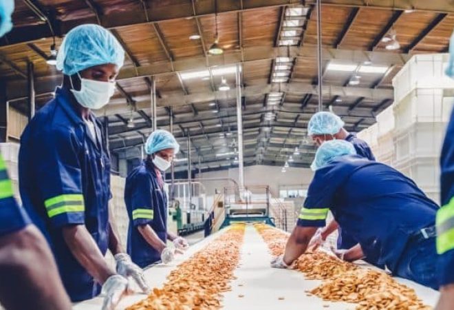 8-etapas-industria-alimenticia-procenge-768x389