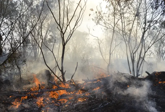 930015-incendio_queimada_5