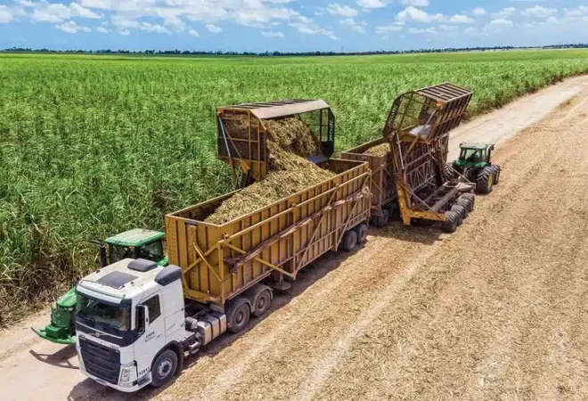 AGRO-3