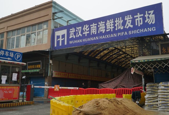 china wet market pandemia
