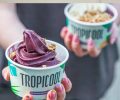 Acai-da-Tropicool