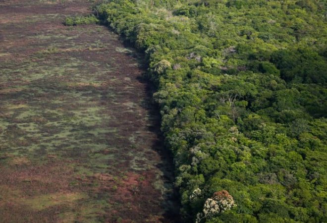 Floresta amazônica, meio ambiente, preservacão ambiental, madeira, desmatamento, em Manaus  | Sérgio Lima/Poder360 01.nov.2021