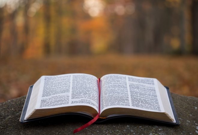 Biblia