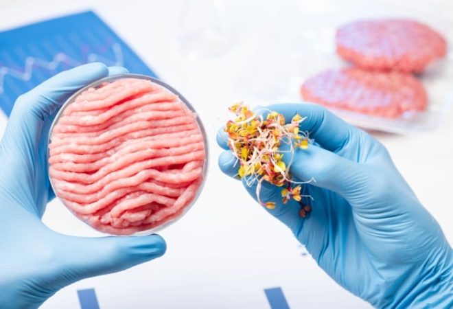 Biotech-Foods-discusses-cultured-meat-trend_wrbm_large