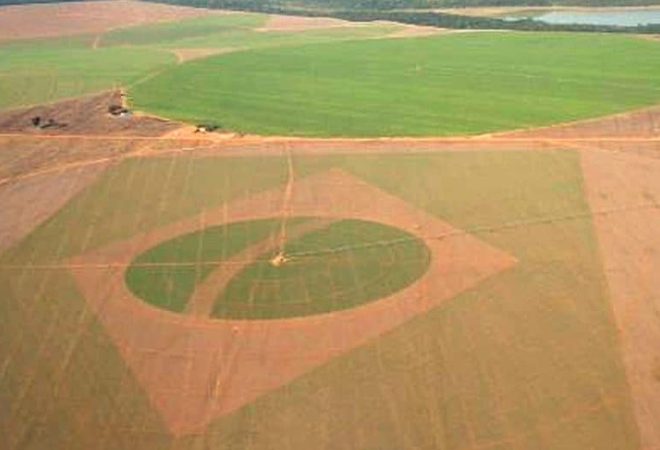 CAMPOS-DE-HOAMBRA-SP-AGENCIA-BRASIL