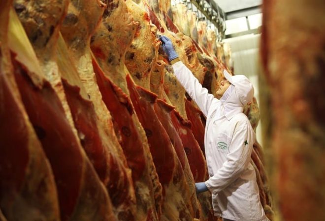 Carne-Bovina