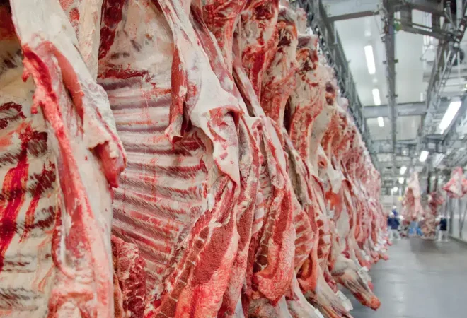 Carne-bovina-e-processada-em-frigorifico-brasileiro-e1630773282141