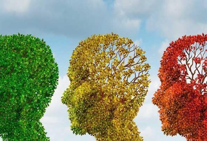 Diabetes-e-Alzheimer