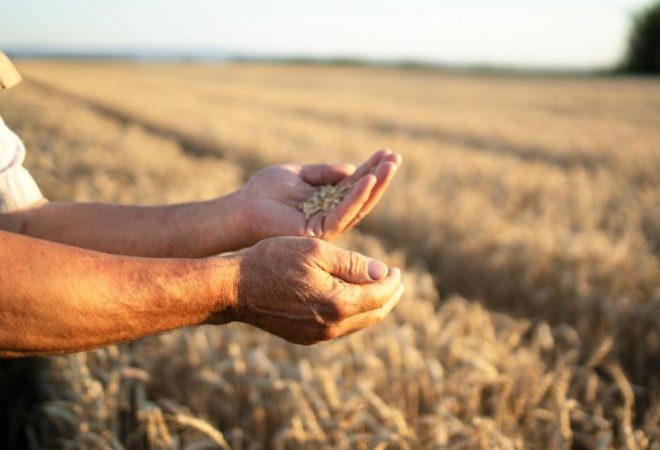 Estiagem-produtor-rural-Credito-Freepik
