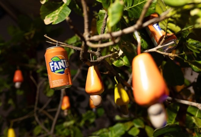 Fanta-Caju