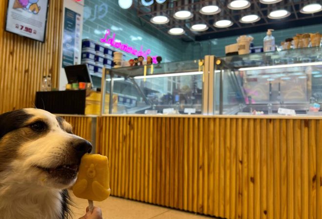 Gelato-pet---divulgacao-Cuor-di-Crema--3-