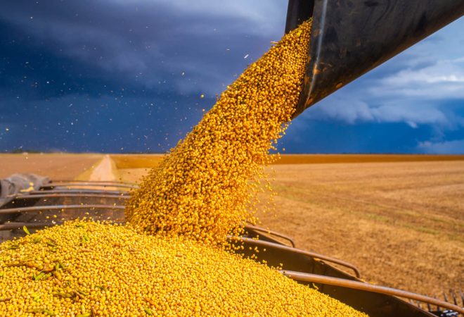 A combine harvester loading a truck with soybean grains