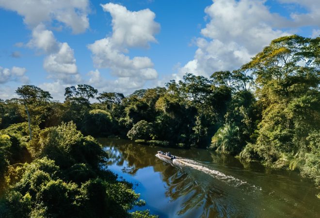 A motorboat in the lake surrounded by beautiful green trees under a cloudy sky