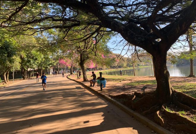 Ibirapuera reaberto