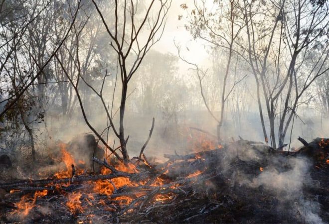 Incendio-florestal-02-1024x576