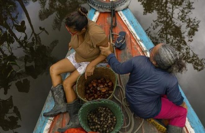 Ingredientes-Divulgacao-Natura