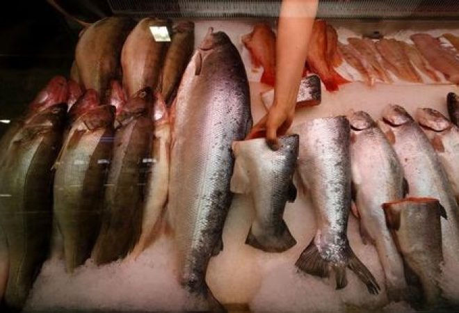 peixe