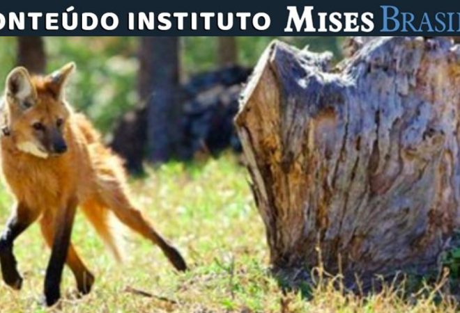Mises 04_Setembro b