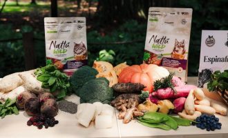 Nattu-Wild-2026.22--Divulgacao-PremieRpet
