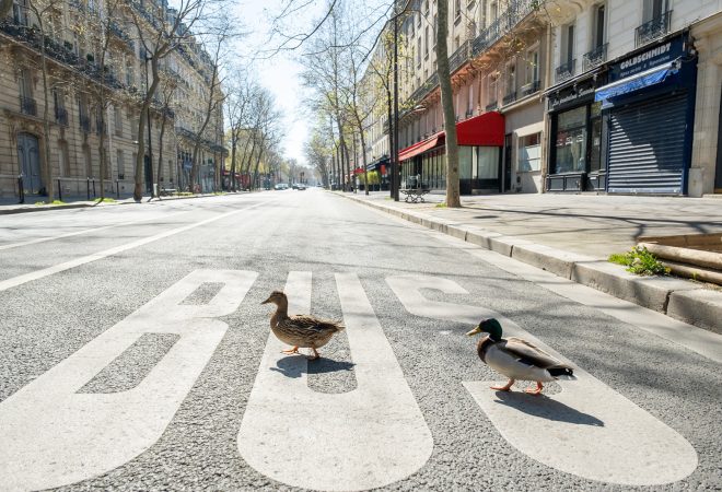 Paris_quarentena_Fotos_Públicas
