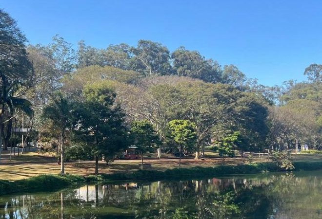 Parque Ibirapuera