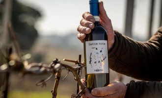 Poderi-Morini-Sette-Note