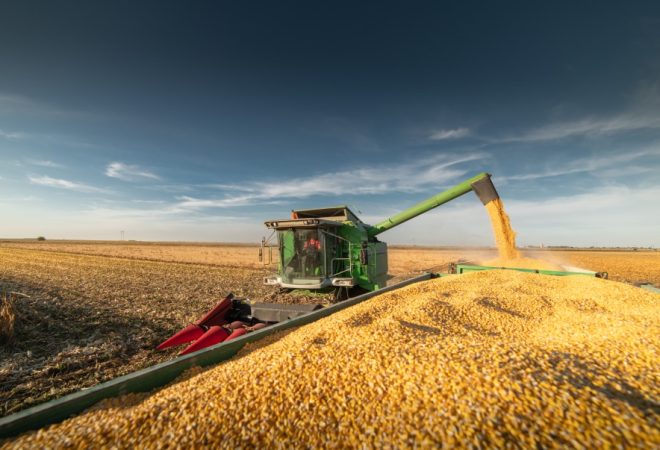 grãos agro economia mapa