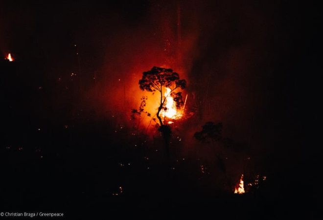 Forest fire in a newly deforested area of over 1900 hectares, inside an area protected by the Concession of Real Right of Use (CDRU, in Portuguese) of the Manicoré River, in the Amazonas state. The beginning of this deforestation was first detected in March, 2022, by Papa-Alfa, Greenpeace Brazil's own monitoring system.Queimada em área recém desmatada de mais de 1900 hectares, dentro da área protegida pela Concessão de Direito Real de Uso (CDRU) do Rio Manicoré, no Amazonas. O início desse desmatamento foi detectado em março de 2022 pelo Papa-Alfa, sistema de monitoramento do Greenpeace Brasil.