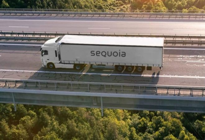 Sequoia-800x533