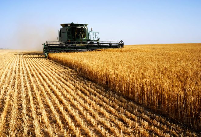 combine  harvesting