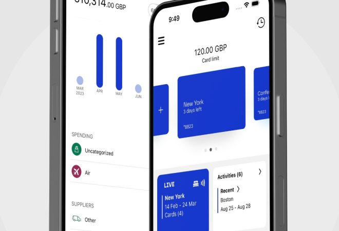 Visa Commercial Pay