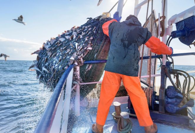 WTO-harmful-fisheries-2020-1440x720