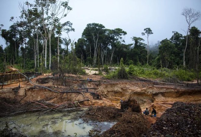 garimpo amazonia