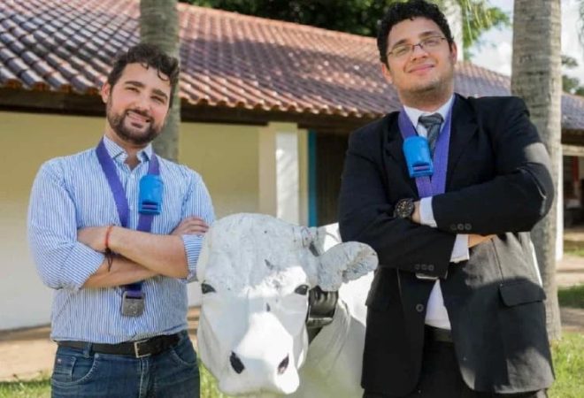cowmed