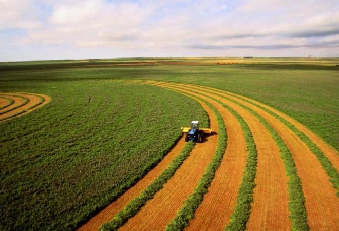 agro brasil