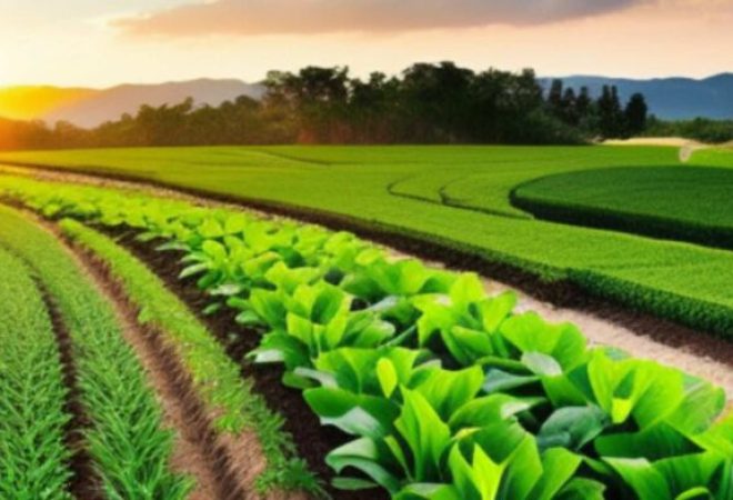 agroecologia-696x392