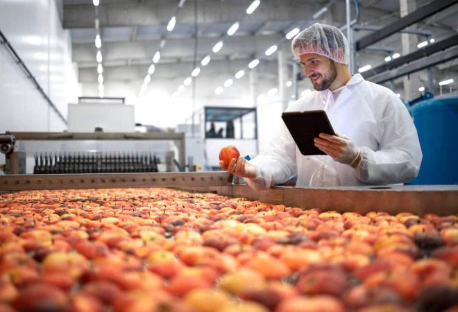 agroindustria-importancia