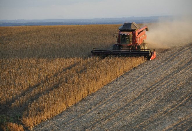agrotempo podcast-safra-agrotempo-agronegocio-1727985112